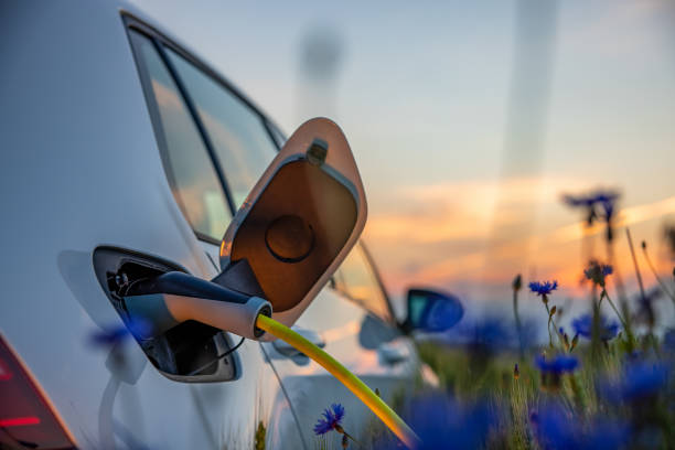 istock Charging an electric car on rural flower field 1354073192