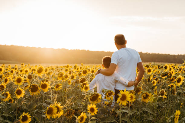 istock Father and son looking at view in sunflowers field 1354076142