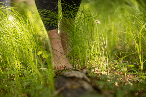 Low section of woman walking barefoot on grass in forest