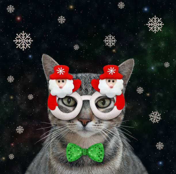 istock Cat gray in Christmas mask at night 1354077861