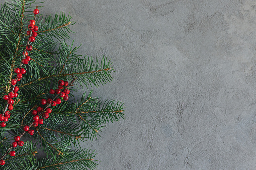 Spruce branch and red berries on a grey background. Holiday concept. Place for text. Flat lay.