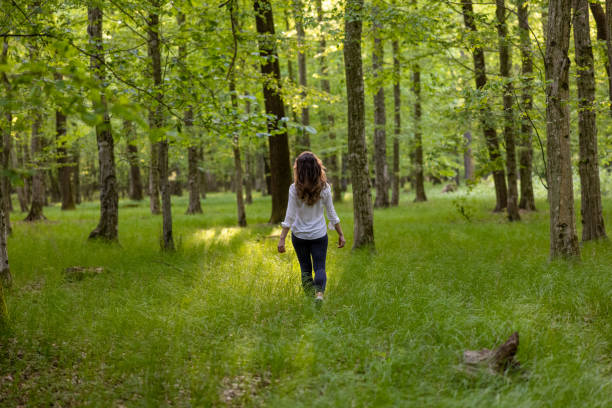 istock Rear view of woman walking in forest 1354078488