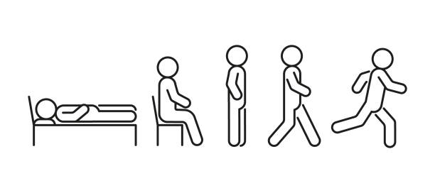 ilustrações de stock, clip art, desenhos animados e ícones de people icon in different posture, human various action poses. lie, stand, sit, walk, run. vector line illustration - sitting