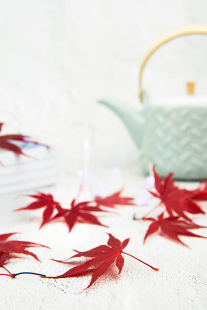 istock Light green tea pot with red maple leaves and books on a white background. Text space. 1354079301
