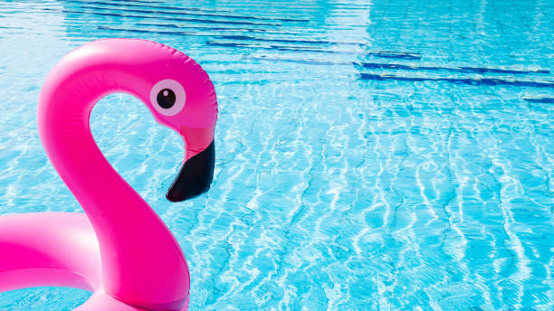 piscine rose. flamant rose gonflable dans l’eau pour le fond de la plage d’été. drôle de jouet d’oiseau pour les enfants. - blue mattress vacations toy photos et images de collection