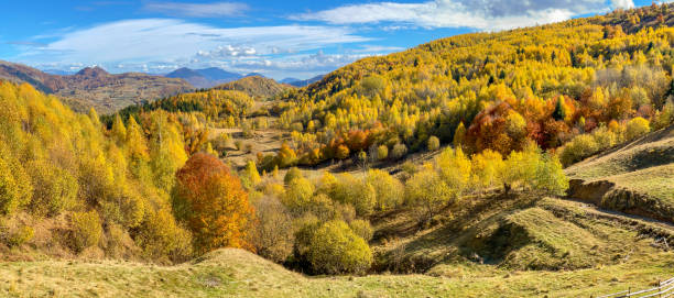 istock Beautiful Autumn Colors 1354080301