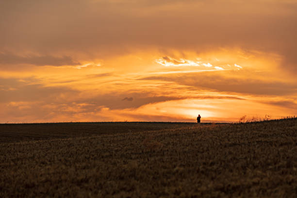 istock Farmer standing in wheat field 1354081213
