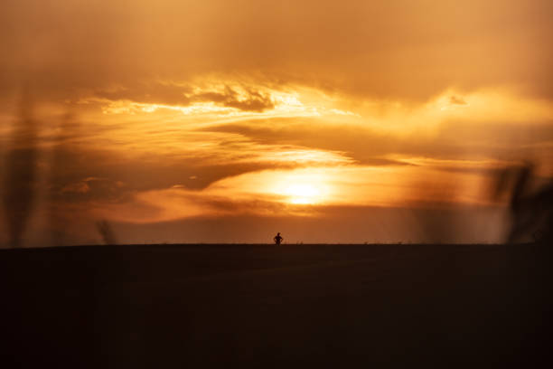 istock Farmer standing in wheat field 1354081215