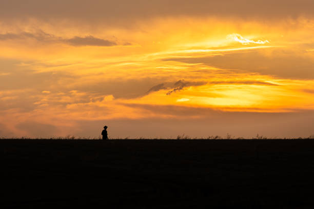 istock Farmer standing in wheat field 1354081219