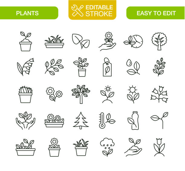 pflanzensymbole bearbeitbare kontur festlegen - blumentopf stock-grafiken, -clipart, -cartoons und -symbole
