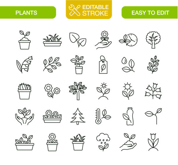 ilustraciones, imágenes clip art, dibujos animados e iconos de stock de iconos de planta establecer trazo editable - branch leaf tree environment