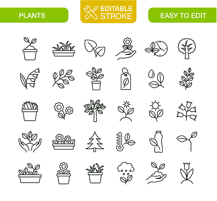 Plant icons Set. Editable Stroke. Vector illustration. You can use these icons in your product design, presentations, websites, infographics, blogs, and also your apps. This set of vector icons will help you to create more attractive graphics.

More icons in this collection:
https://www.istockphoto.com/collaboration/boards/qUfvBxVnEU64XaERvnM_Fw