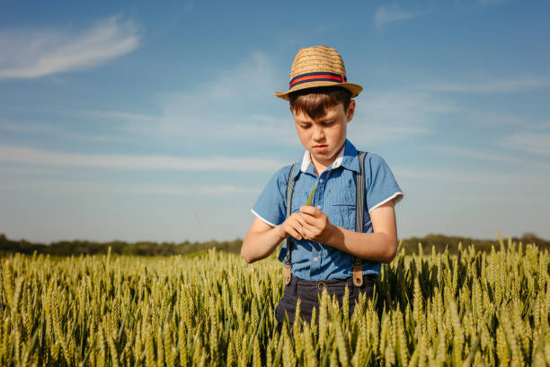 Boy in straw hat holding wheat ear while standing in green rural field