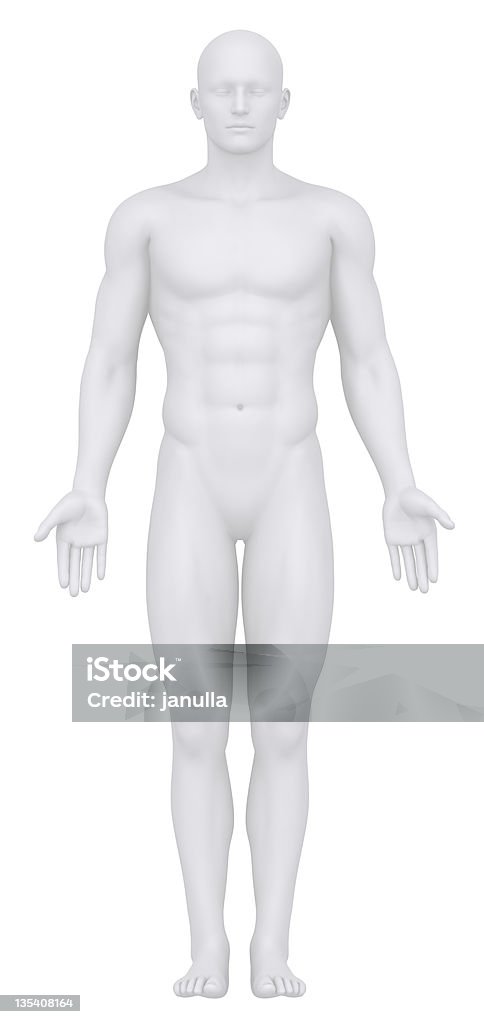 Digital vista frontal de um corpo Masculino - Royalty-free Adulto Foto de stock