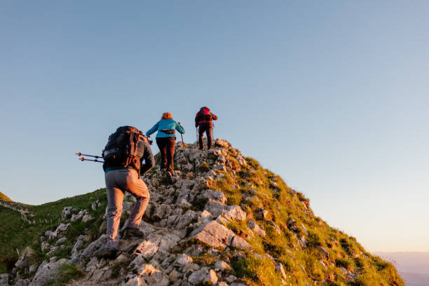 Mature male and female hikers with trekking poles walking up mountain trail against clear sky