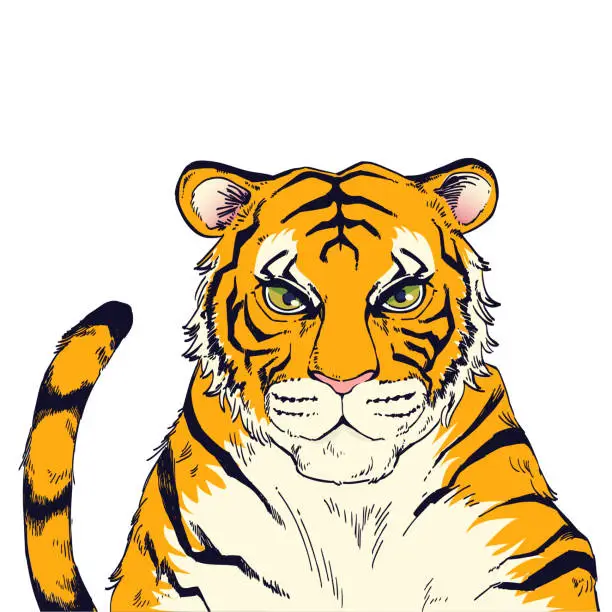 Vector illustration of Tiger hand drawn illustration material