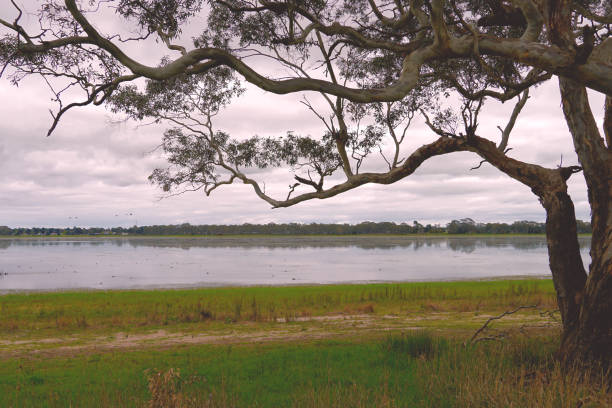 istock Edenhope,  Wimmera, Victoria, Australia 1354082690