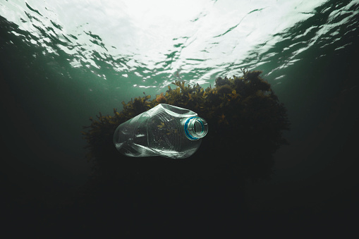 Underwater shot of plastic bottle floating around in the ocean. Shot in turbid and green water in Denmark