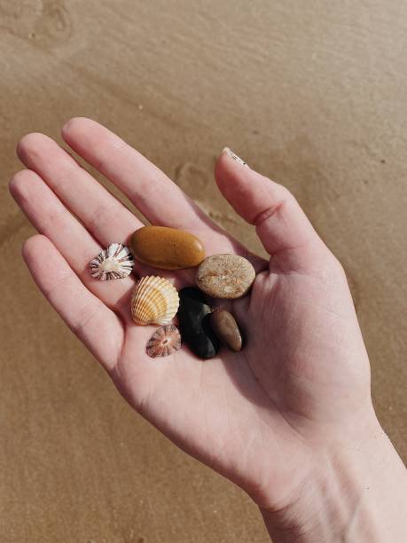 istock Female hand with shells and stones 1354084631