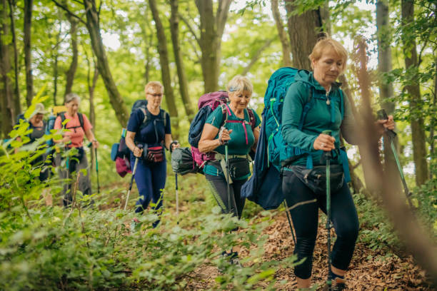 istock Mature female hikers with trekking poles walking on path in forest 1354085662