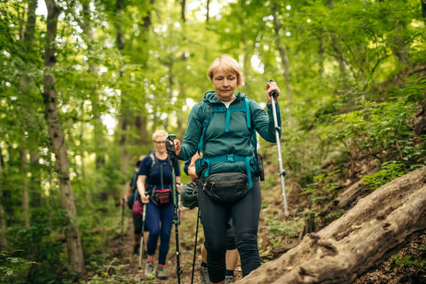 escursionine mature con bastoncini da trekking che camminano sul sentiero nella foresta - hiking mature adult women senior adult foto e immagini stock