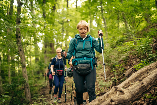 Mature female hikers holding trekking poles with backpacks walking on path in forest