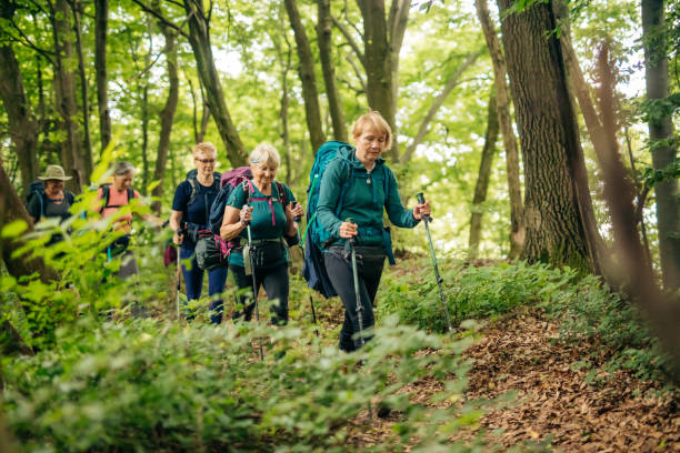 istock Women hiking with trekking poles walking on path in forest 1354085779