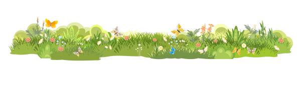 istock Meadow. Summer herbal glade. Grass close up. Flowers. Rural beautiful landscape. Wild uncut lawn. Cartoon style. Flat design. Isolared on white background. Illustration vector art 1354086765