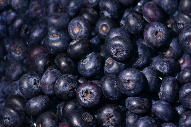 istock blueberry berries close-up.  berry background 1354090050