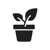 istock Potted Plant glyph icon 1354092181