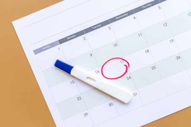 istock Pregnancy test on calendar. Time to check pregnancy day 1354096854