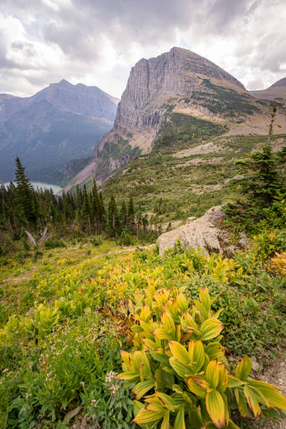 istock Grinnell Lake hike 1354098442