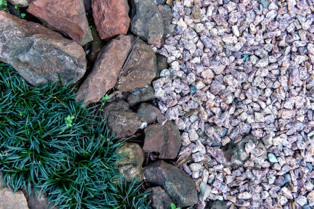 istock Flowerbed background with stones and grass 1354100437