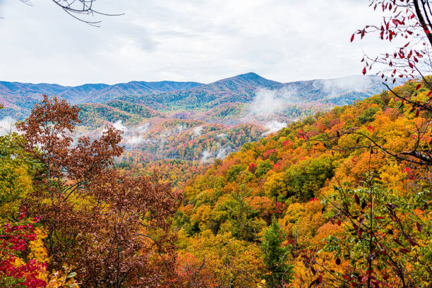 istock View From Little River Gorge Road Overlook 1354113195