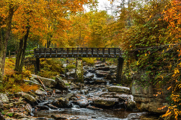 istock Bridge in Autumn 1354113197