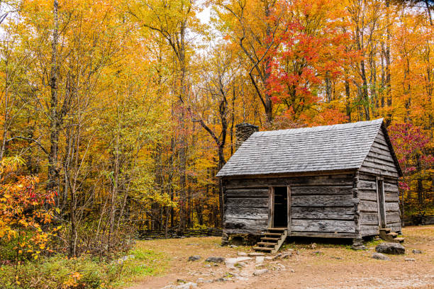 istock Alex Cole Cabin in Autumn 1354113209