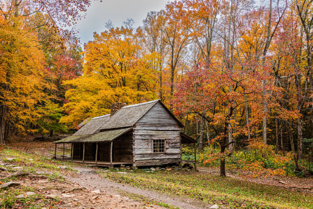 istock Ogle Farm in Autumn 1354113248