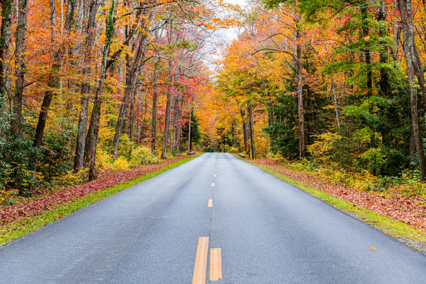 istock Road To Autumn 1354113251
