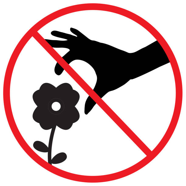 don't pick the flower sign. a red sign that tell you not to pick the flower in this area. flat style. don't pick the flower sign. a red sign that tell you not to pick the flower in this area. flat style. sabotage icon stock illustrations