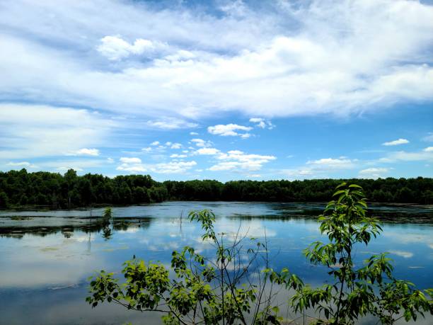 istock Scenic summer lake view 1354118510