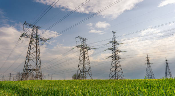 istock power lines in the spring in a green wheat field 1354124994