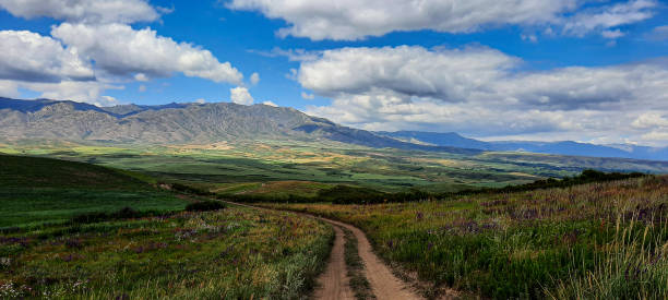 istock mountain landscape country road going down the slope to green meadows and fields. Selective focus. 1354130405