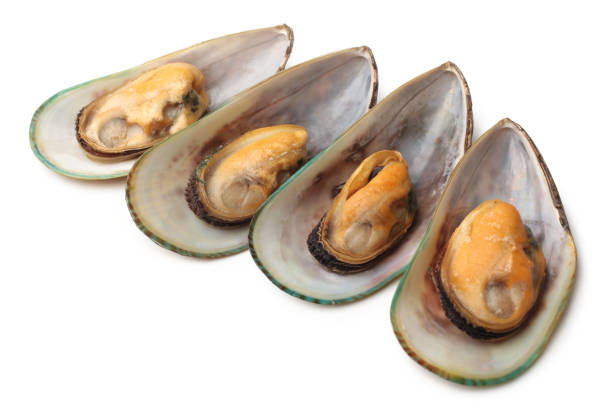 istock Baked mussels 1354131235