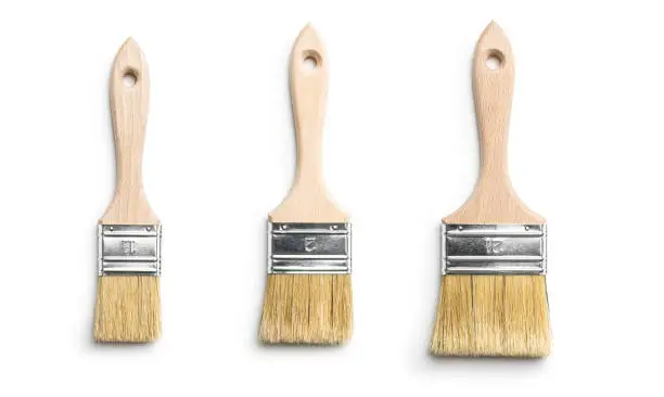 Set of clean paint brushes isolated on white background.