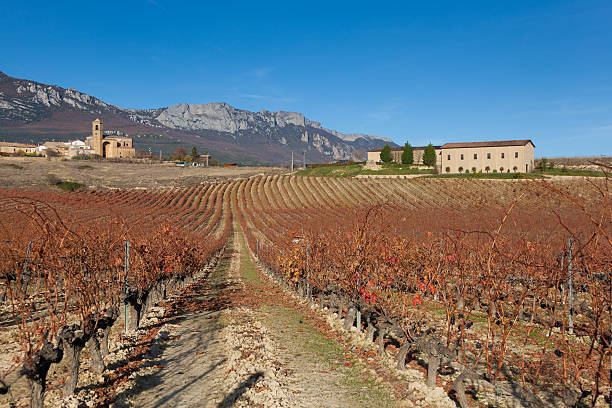 A landscape view near Haro, Rioja. Spain