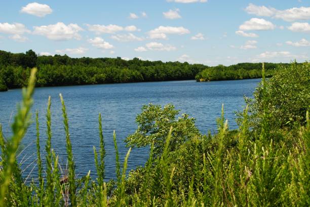 istock Blue lake under the sky 1354141975