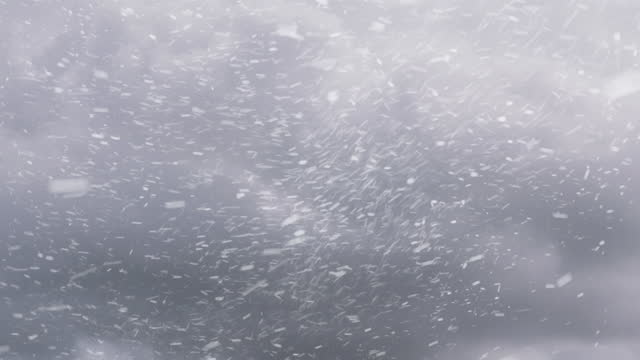 View of snowflakes falling in a very windy storm