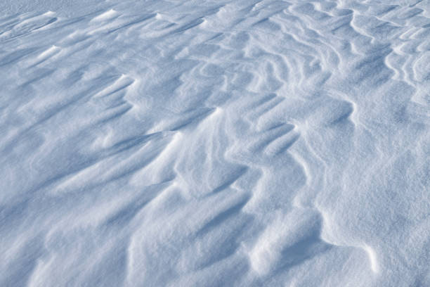 istock Snow texture. White winter fresh snowflakes background in blue tone 1354147605