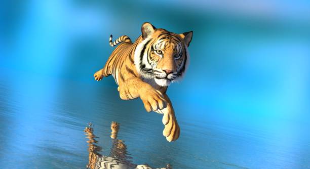 istock Tiger in water on blue background 3d illustration 1354148448