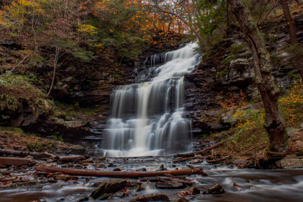 Autumn waterfall at Ricketts Glen stock photo